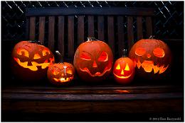 MUSME celebra Halloween con eventi esclusivi: 'Conciati per la peste' per i più giovani e 'Aperitivo con delitto' per gli adulti"