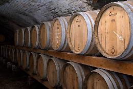 Cantine aperte a San Martino: un viaggio tra vini, storia e paesaggi della Valpolicella