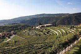 Alla scoperta delle meraviglie di Roverè Veronese: un'escursione tra natura e architettura