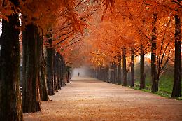 Torna il Festival D'Autunno "Zuccaland" al Castello Scaligero di Villafranca di Verona