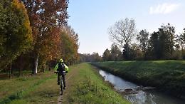 Pista ciclabile immersa nel verde: un passo verso un futuro sostenibile
