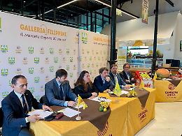Gusto d'autunno nei ristoranti veronesi