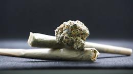 Arrestato spacciatore a Vicenza: sequestrati 200 grammi di marijuana