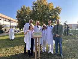 Un albero per la salute al Ca’ Foncello di Treviso: un simbolo di benessere e ambiente