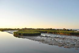 Tre artisti e un progetto: "Sedimenta" rivitalizza il Delta del Po Veneto