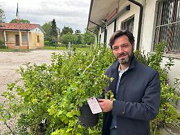 Zero Branco, il Parco “De Zairo” si arricchisce di 300 nuovi alberi