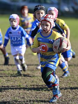 Mini-Rugby, maxi-raggruppamento: a Rovigo una giornata di fair play per i Galletti di Frassinelle