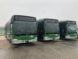 Sciopero dei trasporti a Treviso: gli autisti chiedono cambiamenti urgenti