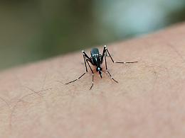 Lieve miglioramento per la Trevigiana colpita dalla malaria