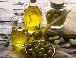 Sol2Expo 2025: Verona accoglie la nuova era dell'olio d'oliva