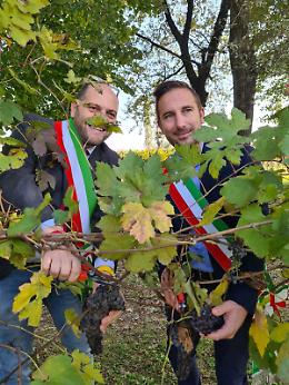 Vendemmia dei Sindaci: tra i vigneti del Friularo si celebra la fine della raccolta 2024