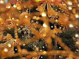 Porto Viro si prepara al Natale: eventi e iniziative per le feste 2024