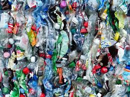 Volontari Plastic free ad Arquà Polesine: 96 sacchi di rifiuti raccolti in poche ore