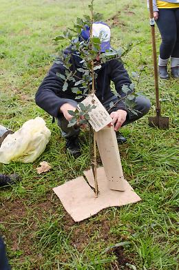 Il Bosco del Meandro: un nuovo polmone verde  grazie all’impegno del Tarassaco e dei volontari
