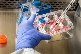 Salute sempre più vicina: Synlab amplia la rete con tre nuovi punti prelievo tra Padova e provincia