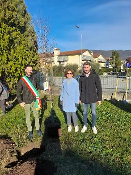 Bassano celebra la Giornata Nazionale degli Alberi