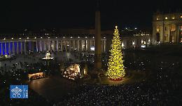L'albero di Natale giusto: l'Italia riscopre il verde sostenibile