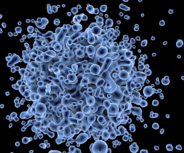 Tezze di Piave: &ldquo;Gli Sconcertati&rdquo; in concerto per la donazione di cellule staminali