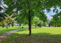  Montebelluna pianta nuovi alberi nel Parco Manin 