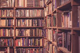 Adria investe nella cultura: 13mila euro per rinnovare i libri delle biblioteche comunali