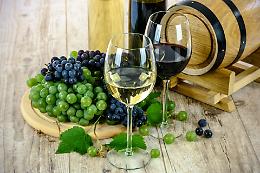 Corsi sommelier a Padova: un viaggio tra vino e cultura nel 2025