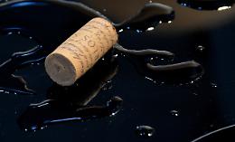 Degustazione di vini: un viaggio sensoriale tra amiche alla Cantina Terra Felice