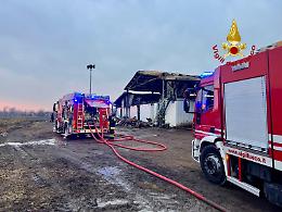 Incendio devasta azienda agricola a Limena: morti diversi bovini, intervento dei Vigili del Fuoco controlla le fiamme