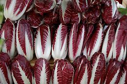 Festa del radicchio variegato di Castelfranco: tradizione e innovazione in tavola