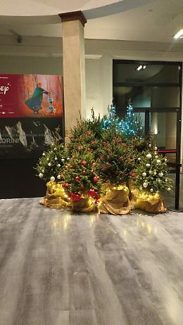 Padova, "Natale in famiglia”: gli eventi al Centro Culturale Altinate San Gaetano