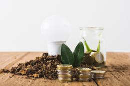 Green Economy in Veneto: le nuove sfide e opportunità per un futuro sostenibile