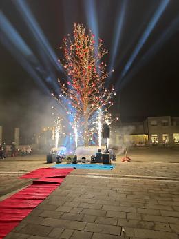 Il Comune sceglie un albero vivo e lancia la campagna per mille nuove piantumazioni