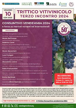 Terzo incontro del Trittico Vitivinicolo Veneto: un bilancio sulla vendemmia 2024 e gli sviluppi dei mercati globali