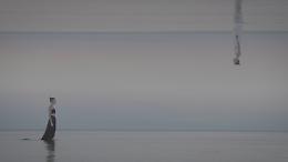 Venezia accoglie l'arte contemporanea con We Art Open 2025