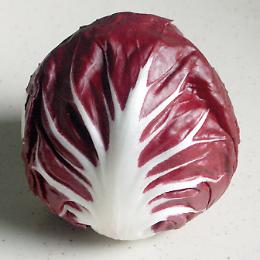 Radicchio di Chioggia: il calo della produzione è compensato dalla qualità