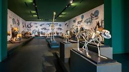 Crescita record di presenze di visitatori del patrimonio culturale dell’Università di Padova