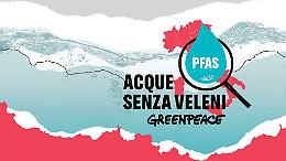 Greenpeace sul caso PFAS: il Polesine non è al sicuro
 