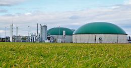 Cona, “Sulla trasformazione degli impianti a biogas, serve più chiarezza”