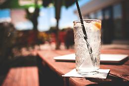 Treviso, Gin & Tonic: la degustazione che racconta la storia di ginepro e chinino