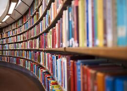 Verona investe nella cultura: nuovo bando per le biblioteche e contratti migliorati per i lavoratori