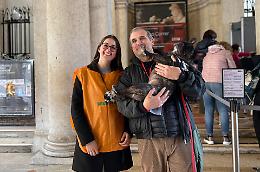 Musei Civici di Venezia: il Dog Sitting si conferma un successo con quasi 900 adesioni nel 2024