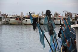 Ulteriori 4 milioni di euro per la pesca veneta: nuovi fondi a sostegno delle imprese del comparto
