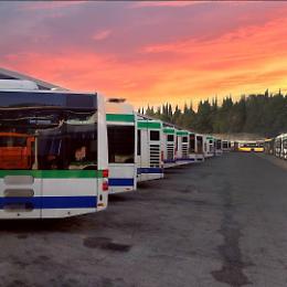 Chioggia perde il suo trasporto pubblico: un fallimento annunciato, denuncia il PD