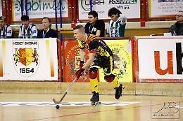 Bassano rinnova la Consulta per lo Sport