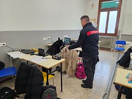 Controllo antidroga al “C.F.P. Manfredini” di Este: nessuna sostanza trovata