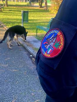 Contrasto allo spaccio a Padova: arrestato 79enne con ingente quantità di droga