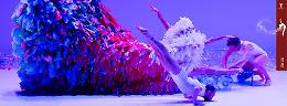Cenerentola inaugura l'ottava edizione di Danza in Rete Festival