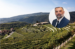 Vandali colpiscono il vigneto TEA nel Veronese