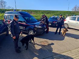 Cavarzere: i Carabinieri arrestano un 49enne per spaccio di sostanze stupefacenti