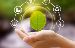 Vera: nasce la prima Comunità Energetica Rinnovabile di Verona Sud