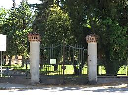 PONTE SAN NICOLO'. Manutenzione del verde: interventi per sicurezza e sostenibilità
